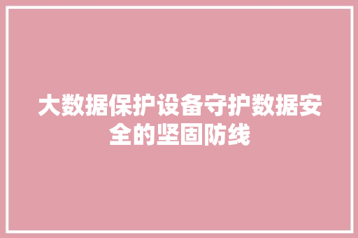大数据保护设备守护数据安全的坚固防线