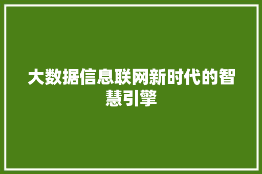 大数据信息联网新时代的智慧引擎