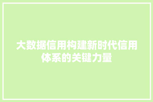 大数据信用构建新时代信用体系的关键力量