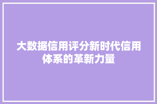 大数据信用评分新时代信用体系的革新力量