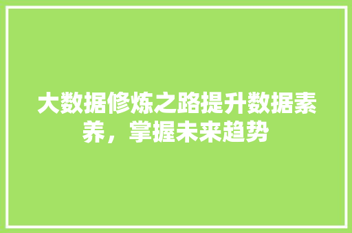大数据修炼之路提升数据素养，掌握未来趋势