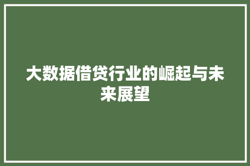 大数据借贷行业的崛起与未来展望