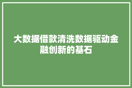 大数据借款清洗数据驱动金融创新的基石