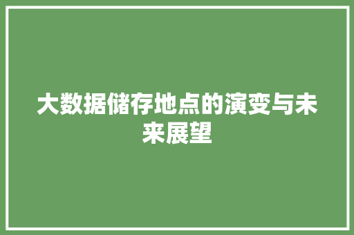 大数据储存地点的演变与未来展望