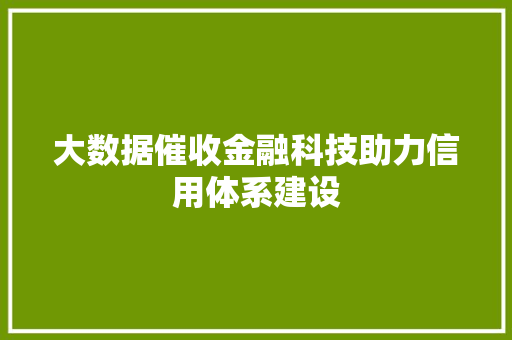 大数据催收金融科技助力信用体系建设