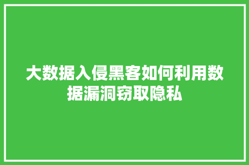 大数据入侵黑客如何利用数据漏洞窃取隐私