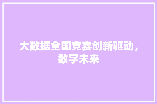 大数据全国竞赛创新驱动，数字未来