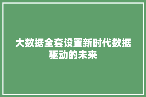 大数据全套设置新时代数据驱动的未来