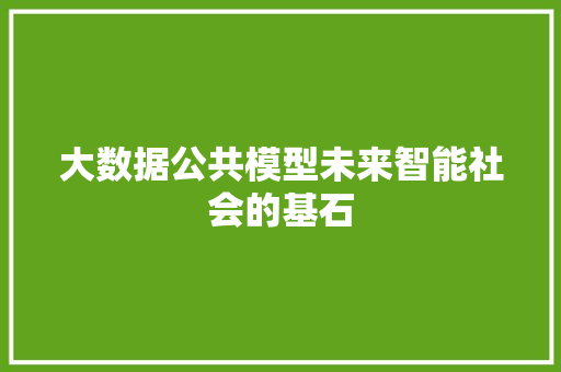 大数据公共模型未来智能社会的基石