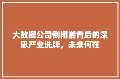 大数据公司倒闭潮背后的深思产业洗牌，未来何在