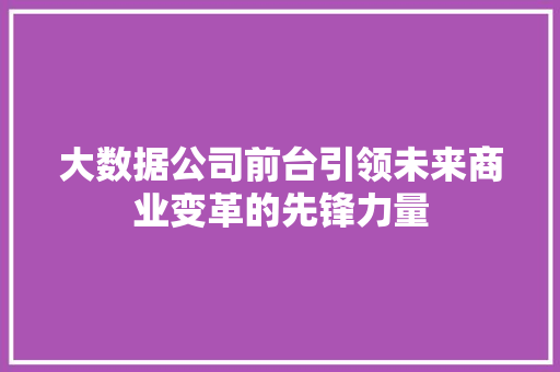 大数据公司前台引领未来商业变革的先锋力量 建站教程