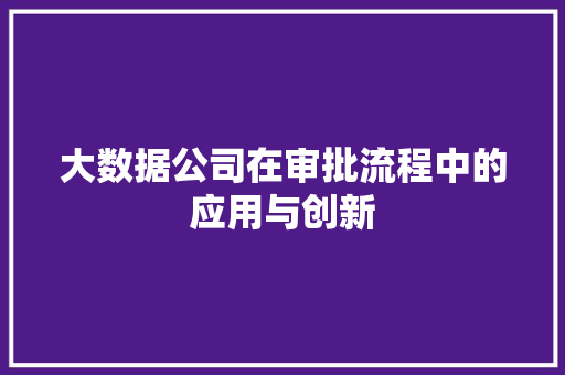 大数据公司在审批流程中的应用与创新 WordPress教程