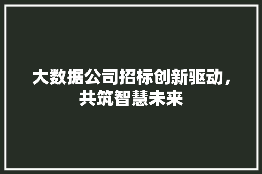 大数据公司招标创新驱动，共筑智慧未来 友链在线