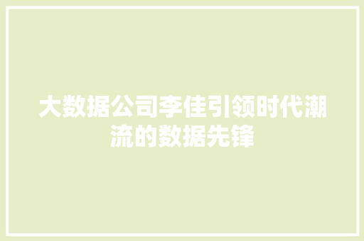 大数据公司李佳引领时代潮流的数据先锋
