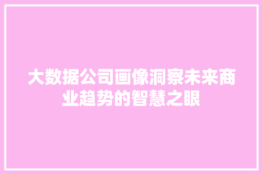 大数据公司画像洞察未来商业趋势的智慧之眼