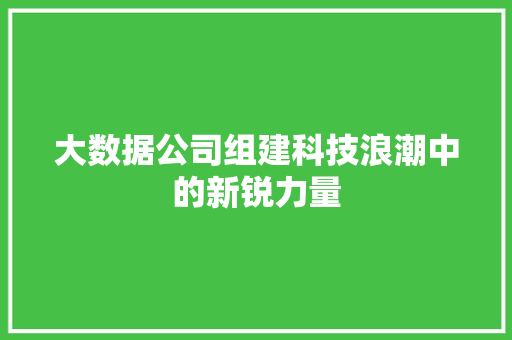 大数据公司组建科技浪潮中的新锐力量