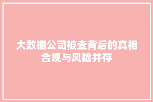 大数据公司被查背后的真相合规与风险并存