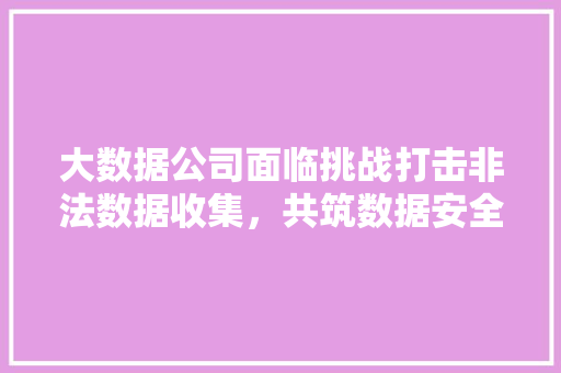 大数据公司面临挑战打击非法数据收集，共筑数据安全防线
