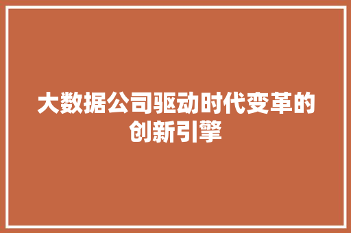 大数据公司驱动时代变革的创新引擎