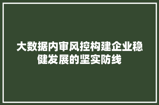 大数据内审风控构建企业稳健发展的坚实防线 SEO教程