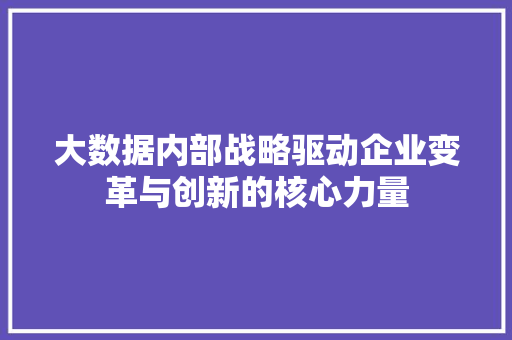 大数据内部战略驱动企业变革与创新的核心力量 Web前端