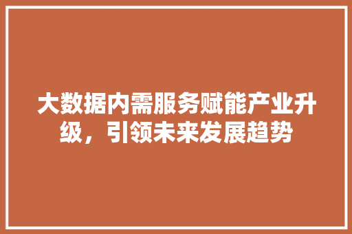 大数据内需服务赋能产业升级，引领未来发展趋势 SEO教程