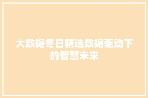 大数据冬日精选数据驱动下的智慧未来