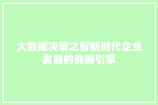 大数据决策之智新时代企业发展的战略引擎 建站教程