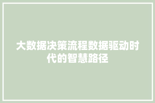 大数据决策流程数据驱动时代的智慧路径 友链在线