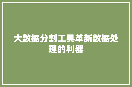 大数据分割工具革新数据处理的利器