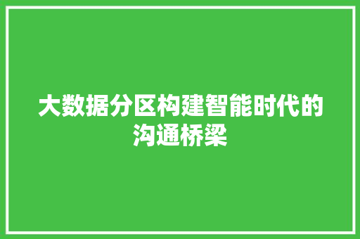 大数据分区构建智能时代的沟通桥梁