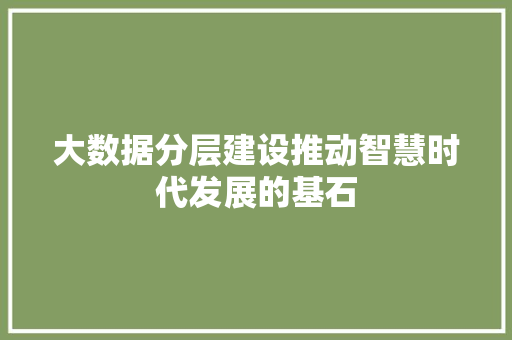 大数据分层建设推动智慧时代发展的基石