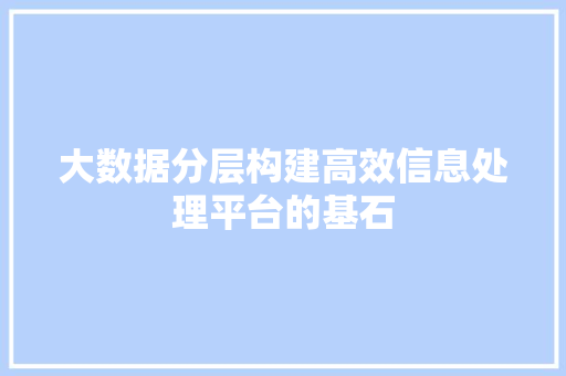 大数据分层构建高效信息处理平台的基石