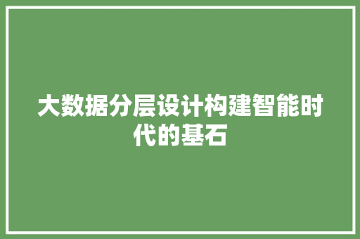 大数据分层设计构建智能时代的基石