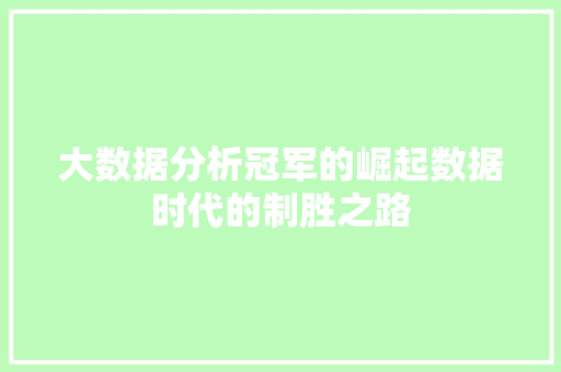 大数据分析冠军的崛起数据时代的制胜之路