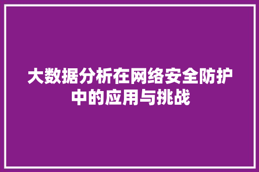 大数据分析在网络安全防护中的应用与挑战 建站教程