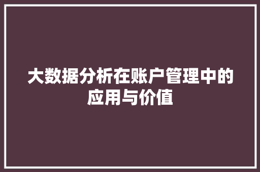 大数据分析在账户管理中的应用与价值 WordPress教程