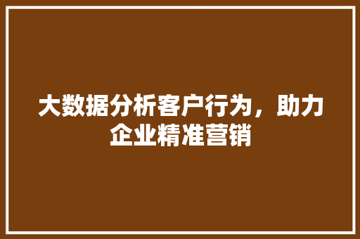 大数据分析客户行为，助力企业精准营销