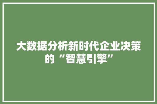 大数据分析新时代企业决策的“智慧引擎” WordPress教程