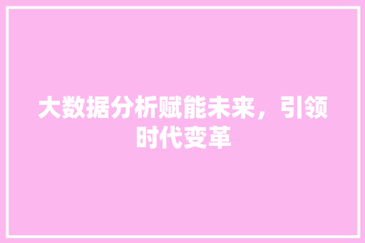 大数据分析赋能未来，引领时代变革