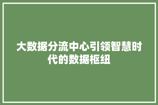 大数据分流中心引领智慧时代的数据枢纽