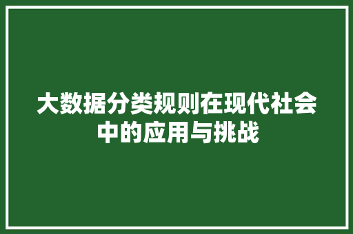 大数据分类规则在现代社会中的应用与挑战 Web前端