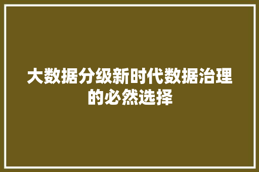 大数据分级新时代数据治理的必然选择