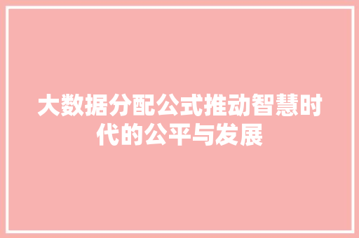 大数据分配公式推动智慧时代的公平与发展