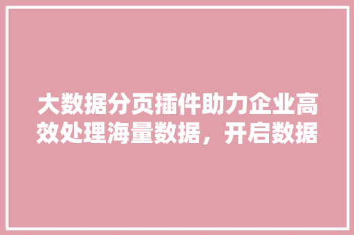 大数据分页插件助力企业高效处理海量数据，开启数据驱动新时代