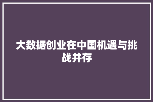 大数据创业在中国机遇与挑战并存