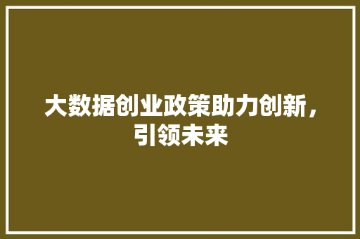 大数据创业政策助力创新，引领未来