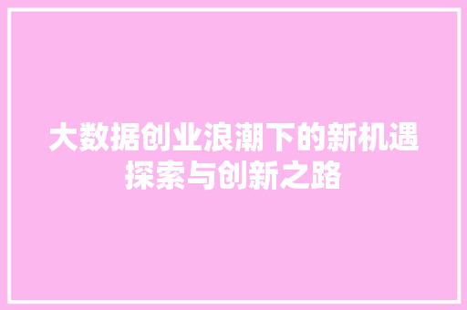 大数据创业浪潮下的新机遇探索与创新之路 建站教程