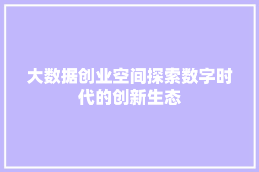 大数据创业空间探索数字时代的创新生态