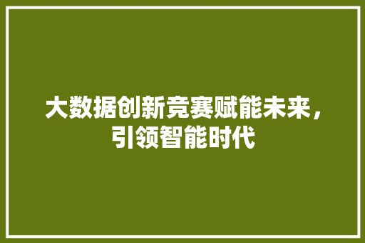大数据创新竞赛赋能未来，引领智能时代